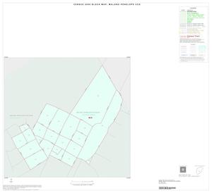 Primary view of object titled '2000 Census County Subdivison Block Map: Malone-Penelope CCD, Texas, Inset B01'.