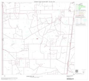 Primary view of object titled '2000 Census County Subdivison Block Map: Alice CCD, Texas, Block 5'.