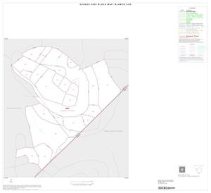 Primary view of object titled '2000 Census County Subdivison Block Map: Blanco CCD, Texas, Inset B01'.