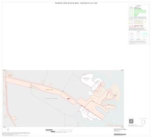 Primary view of object titled '2000 Census County Subdivison Block Map: Shelbyville CCD, Texas, Inset C01'.