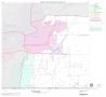 Thumbnail image of item number 1 in: '2000 Census County Subdivison Block Map: Nevada CCD, Texas, Block 1'.