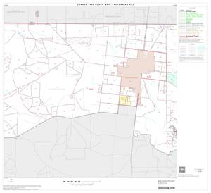 Primary view of object titled '2000 Census County Subdivison Block Map: Falfurrias CCD, Texas, Block 3'.