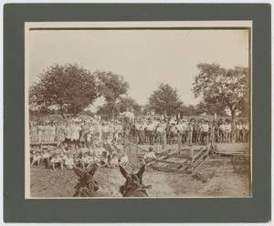 Primary view of object titled '[Adults and Children Gather for Country Sporting Event]'.