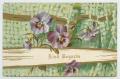 Postcard: [Postcard of Flowers]