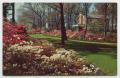 Primary view of [Postcard of Azalea Time in Mobile, Alabama]