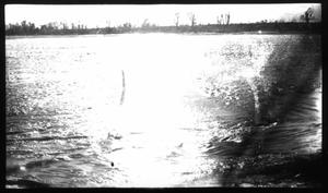 Primary view of object titled 'Brazos River: Falls near Marlin, Tx.'.