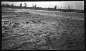 Primary view of object titled 'Brazos River: Falls Mile 385'.