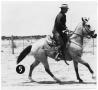 Photograph: Monte Foreman on Horseback