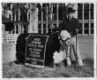 Photograph: Grand Champion Steer of Show, San Antonio, Texas, 1960