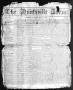 Primary view of The Huntsville Item. (Huntsville, Tex.), Vol. 8, No. 45, Ed. 1 Saturday, July 24, 1858