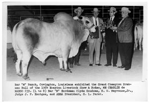 Primary view of object titled 'Grand Champion Brahman Bull of 1964 Houston Livestock Show and Rodeo'.