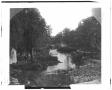Photograph: [View of San Pedro Springs and Park]