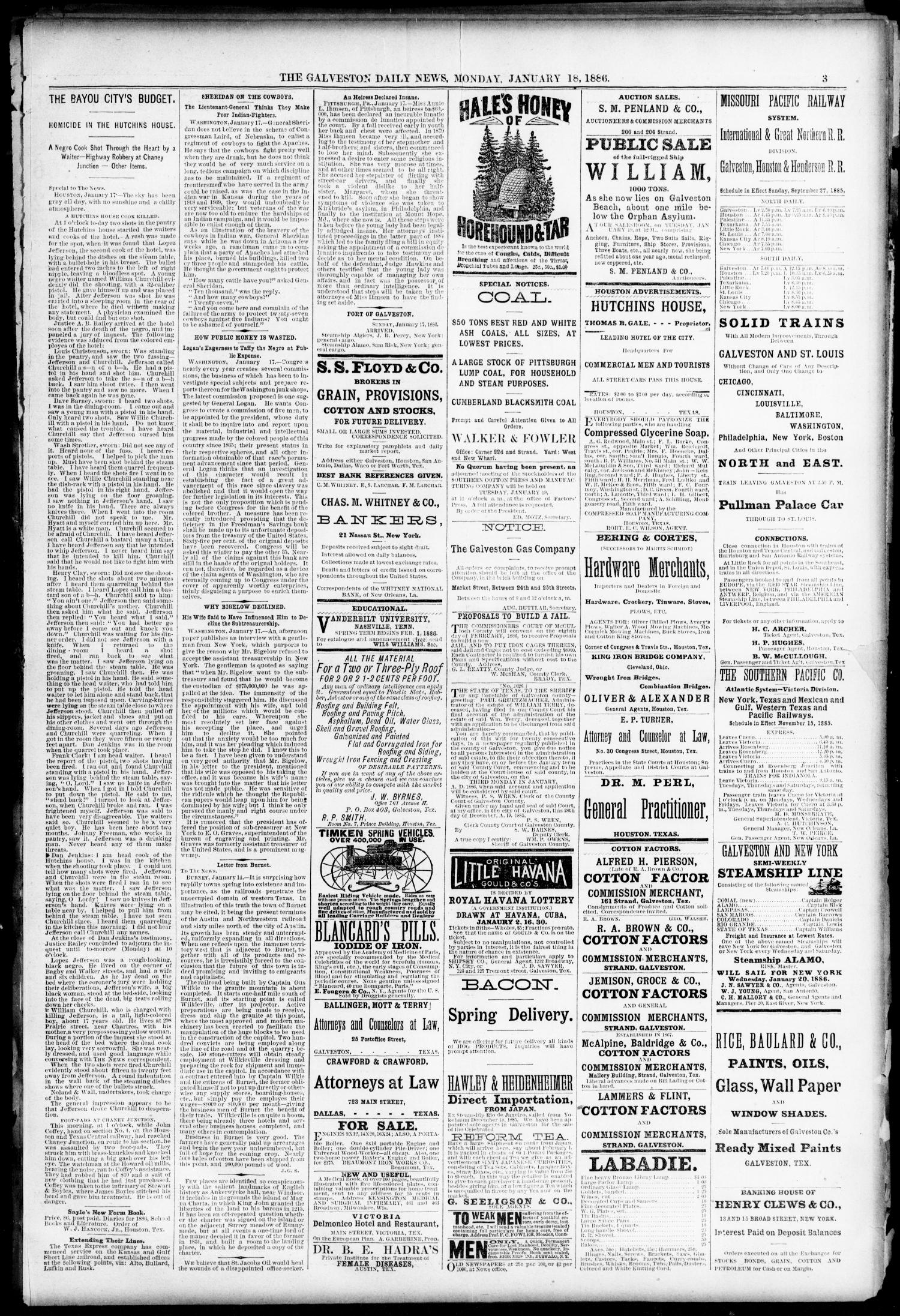 The Galveston Daily News. (Galveston, Tex.), Vol. 44, No. 269, Ed. 1 Monday, January 18, 1886
                                                
                                                    [Sequence #]: 3 of 4
                                                