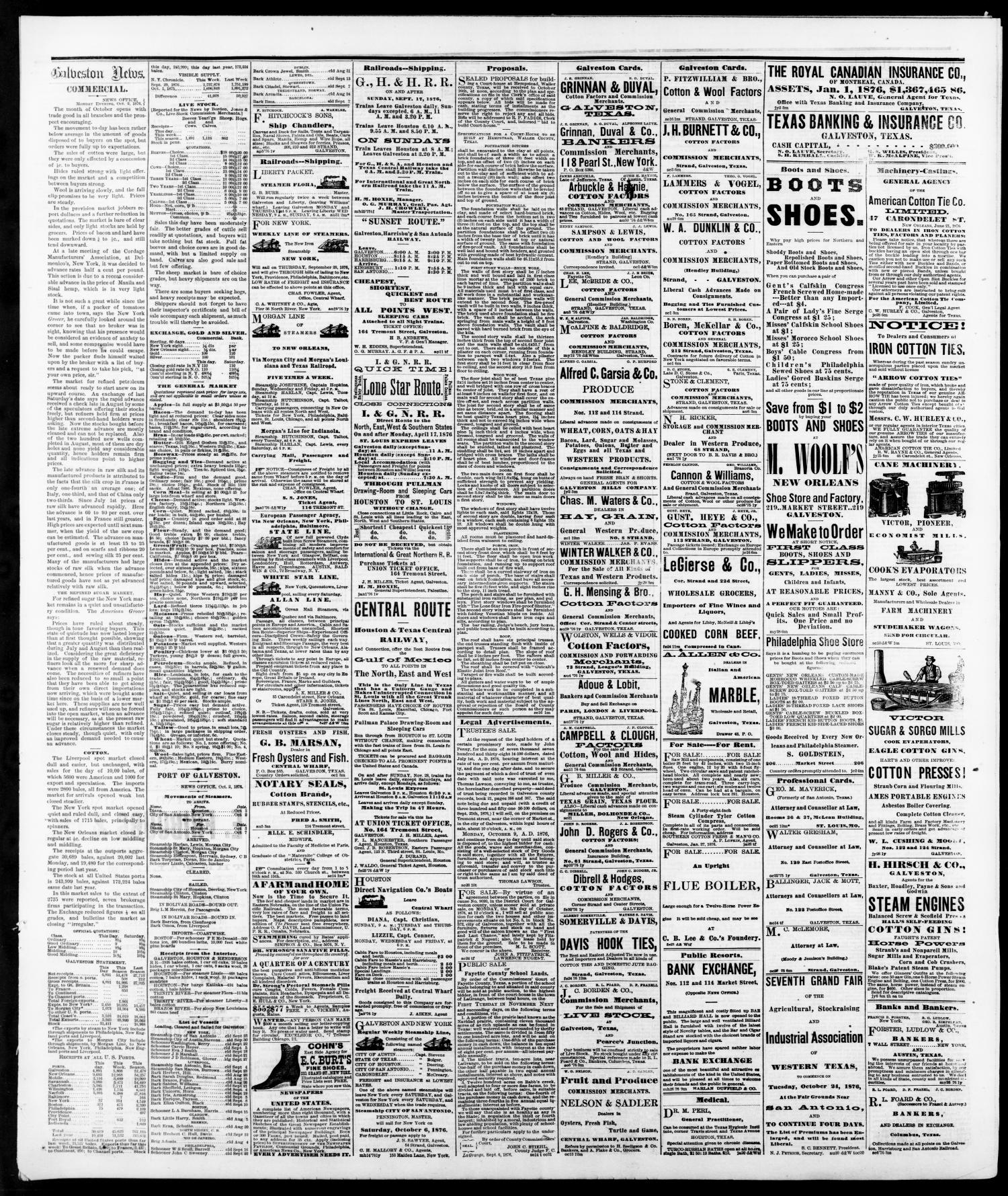 The Galveston Daily News. (Galveston, Tex.), Vol. 35, No. 166, Ed. 1 Tuesday, October 3, 1876
                                                
                                                    [Sequence #]: 3 of 4
                                                