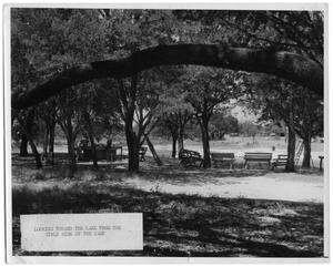 Primary view of object titled '[Camp scene with trees and benches]'.