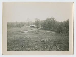Primary view of object titled '[House in Woods]'.