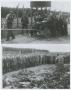 Photograph: [Two Photos at Landsberg Concentration Camp]