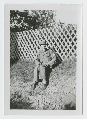 Primary view of object titled '[Soldier by Fence]'.