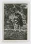 Photograph: [Soldier on Statue]