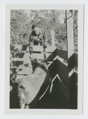 Primary view of object titled '[Soldier Feeding Hog]'.