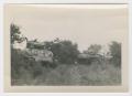 Photograph: [Army Tanks in a Forest]