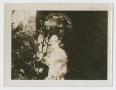 Photograph: [Soldier In Woods]