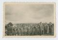 Photograph: [Soldiers Saluting]