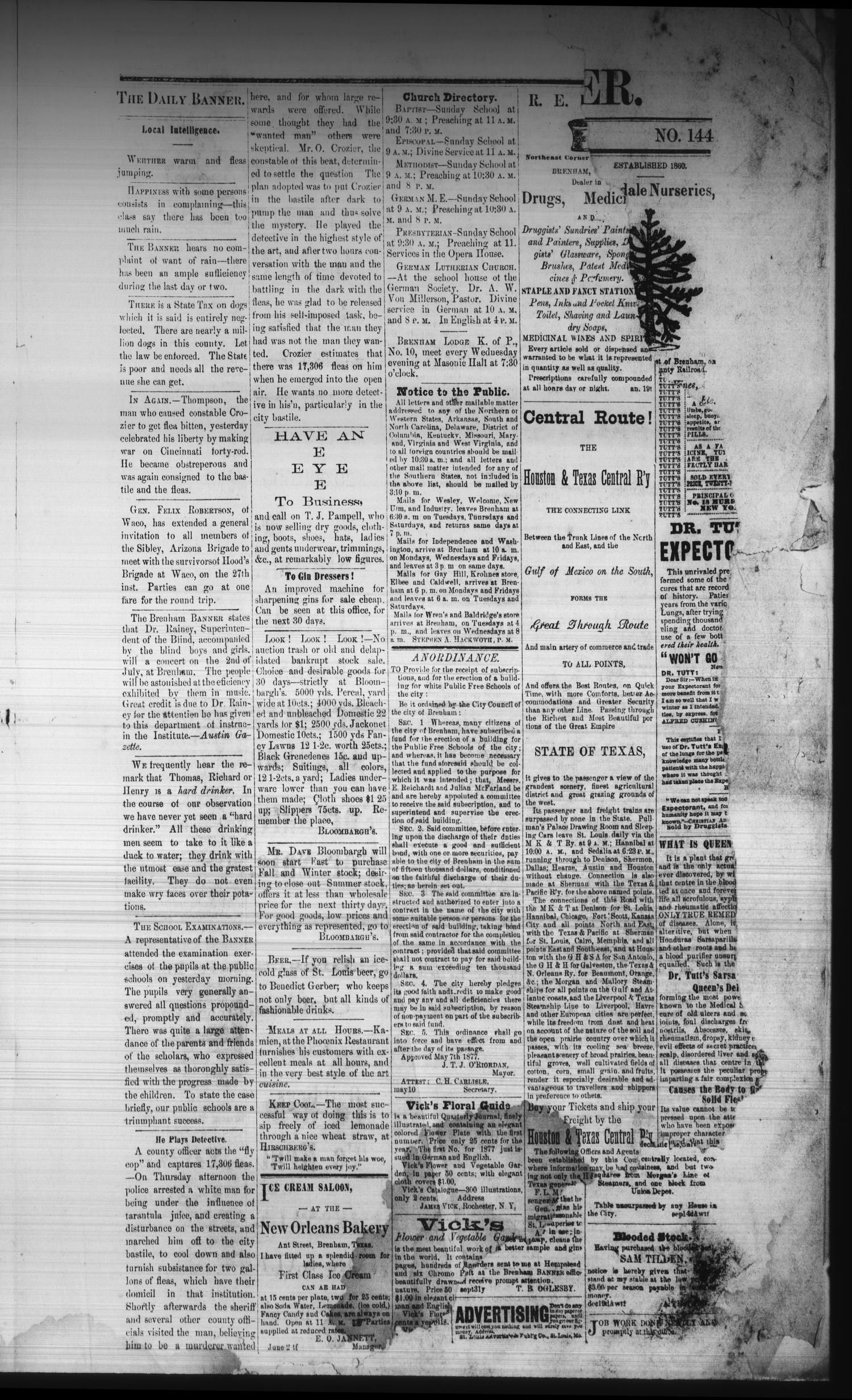 The Daily Banner. (Brenham, Tex.), Vol. 2, No. 143, Ed. 1 Saturday, June 16, 1877
                                                
                                                    [Sequence #]: 3 of 4
                                                