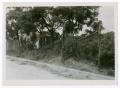 Photograph: [Photograph of a Fence on Hatcher Street in Dallas]