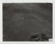 Primary view of [Photograph of a Grassy Field]