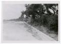 Thumbnail image of item number 1 in: '[Photograph of a Fence Along Hatcher Street]'.