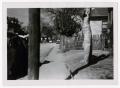 Primary view of [Photograph of Sidewalk on Browder Street]