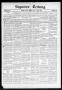 Newspaper: Seguiner Zeitung. (Seguin, Tex.), Vol. 31, No. 45, Ed. 1 Friday, July…