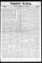 Newspaper: Seguiner Zeitung. (Seguin, Tex.), Vol. 33, No. 20, Ed. 1 Friday, Janu…