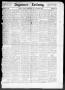 Primary view of Seguiner Zeitung. (Seguin, Tex.), Vol. 29, No. 20, Ed. 1 Thursday, January 8, 1920