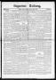 Newspaper: Seguiner Zeitung. (Seguin, Tex.), Vol. 32, No. 11, Ed. 1 Friday, Nove…