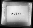 Thumbnail image of item number 2 in: 'Dallas County Probate Case 2838: Reese, T.J. (Deceased)'.