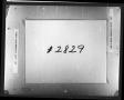 Thumbnail image of item number 2 in: 'Dallas County Probate Case 2829: Harris, T.W. (Deceased)'.