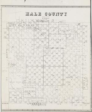 Primary view of Hale County