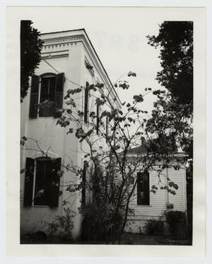 Primary view of object titled '[Seelhorst-Lehrmann House Photograph #2]'.