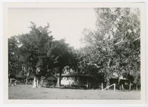 Primary view of object titled '[Homestead of John S. and Jane Susanna Lee Brown Photograph #1]'.