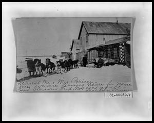Primary view of object titled 'Postcard from Alaska; Sled Dog Team'.