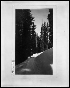 Primary view of object titled 'View Down a Path on the Side of a Snow Covered Mountain'.