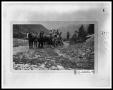 Photograph: Miners On A Horse Drawn Wagon