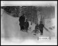 Thumbnail image of item number 1 in: 'Four Men With Sled On Mountainside'.
