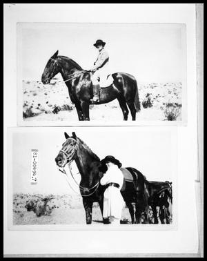 Primary view of object titled '1920s Woman on Horse; Woman and Horse'.