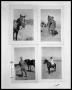 Photograph: Horse; Man with Horse; Man with Horse; Man on Horse