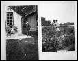 Photograph: Family on Back Porch; V. C. Perini Sr. and Virginia Lee in Garden