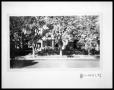 Photograph: House on 771 Downing St., Denver, CO