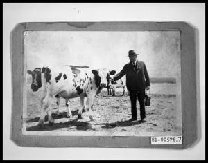 Primary view of object titled 'Henry Perini with Cows'.